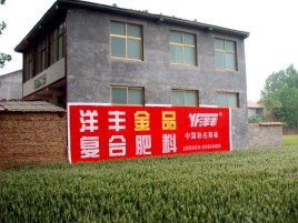 沁阳如何让墙体广告展现最大化效果