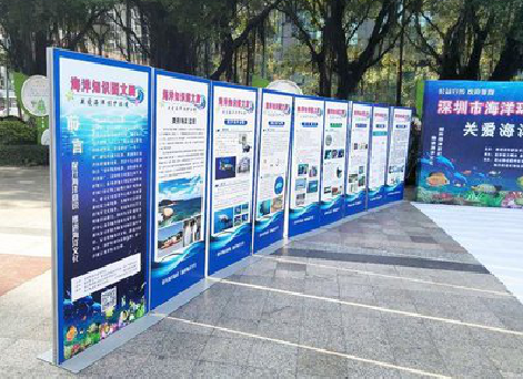 沁阳KT板的种类和知识。